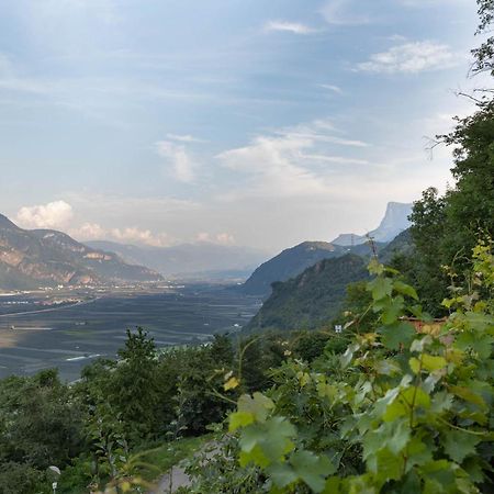 My Spring - Panoramic Suites لانا المظهر الخارجي الصورة